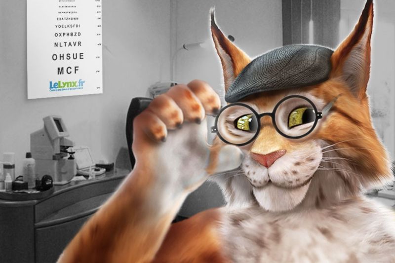 Lynx optique