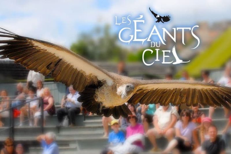 Les Géants du Ciel