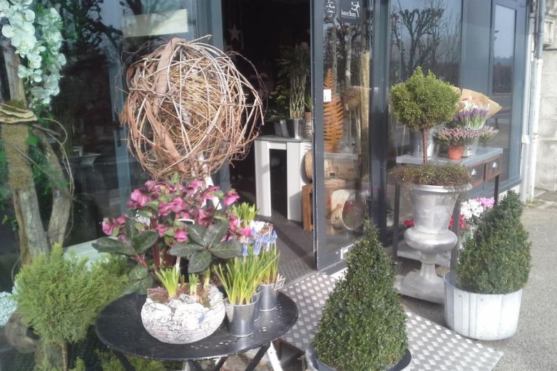 Arts fleurs