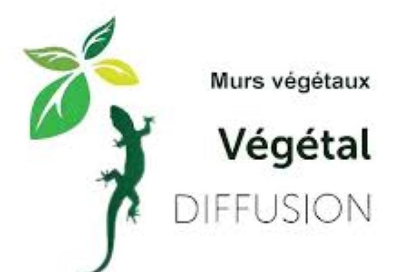 VÉGÉTAL DIFFUSION (22)