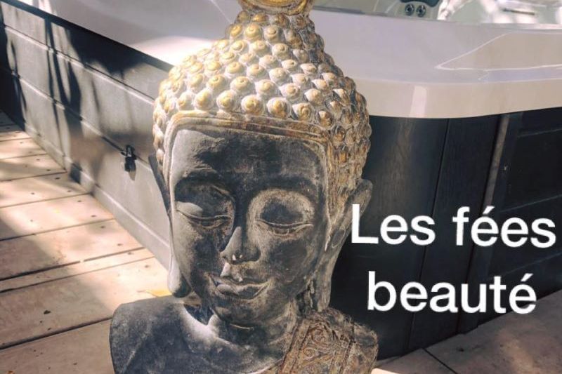 LES FÉES BEAUTÉ (22)