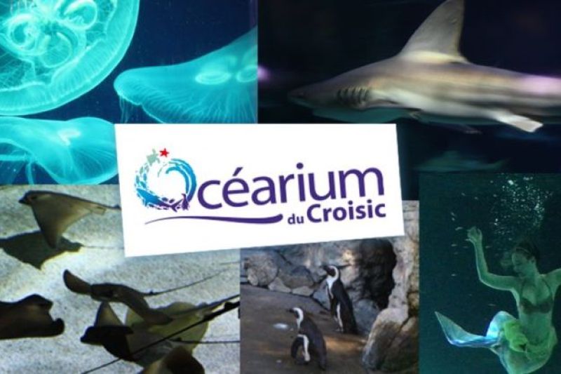 OCÉARIUM DU CROISIC (44)
