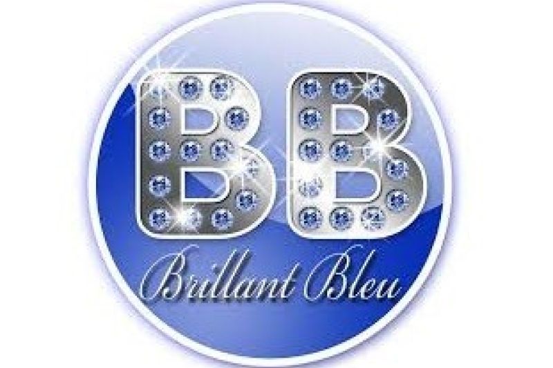 AU BRILLANT BLEU (44)