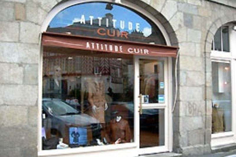 ATTITUDE CUIR (35)
