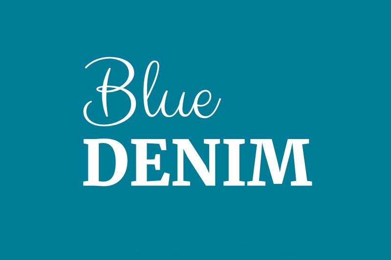 BLUE DENIM LA ROCHE-BERNARD (56)