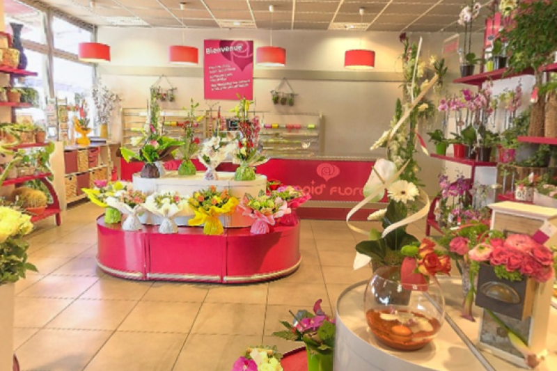 RAPID'FLORE REDON (35)