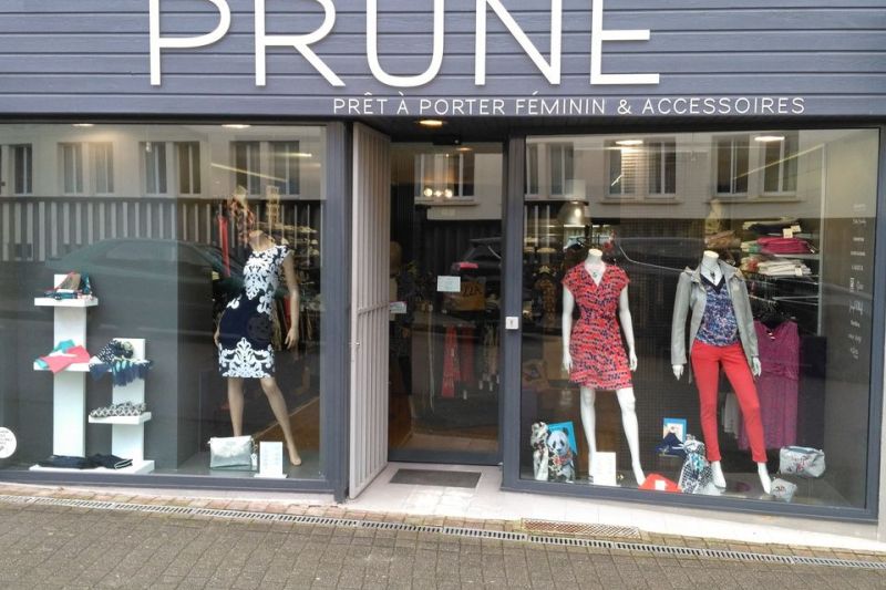 PRUNE PLEORMEL (56)
