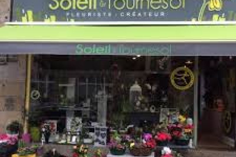 SOLEIL ET TOURNESOL (50)