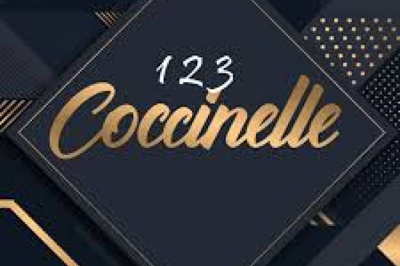 123 COCCINELLE (29) LANDIVISIAU