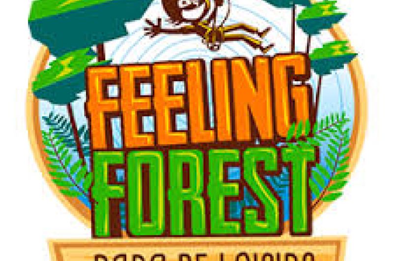 Feelings Forest